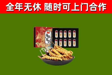 贺州市回收冬虫夏草价格